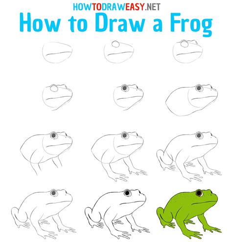 How To Draw A Frog Cute Easy Bmp City