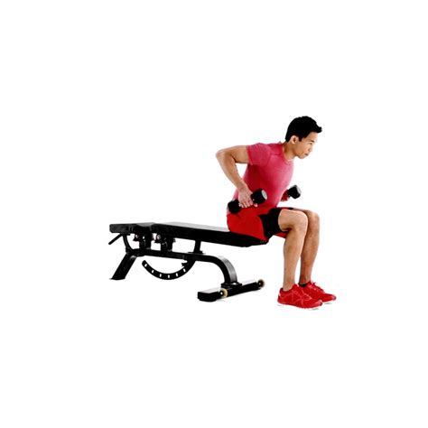 How To Properly Execute A Seated Dumbbell Row Muscle Fitness