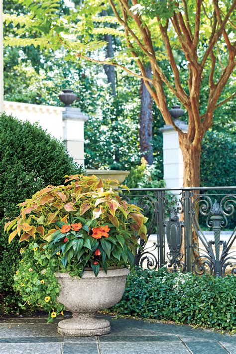 Search through the results for sale in holiday accommodation advertised in south africa on junk mail. Spectacular Container Gardening Ideas - Southern Living