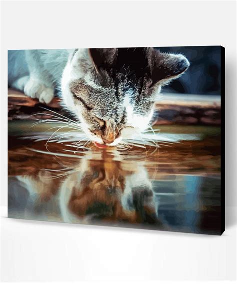 Cat Drinking Water Paint By Numbers Paint By Numbers Pro