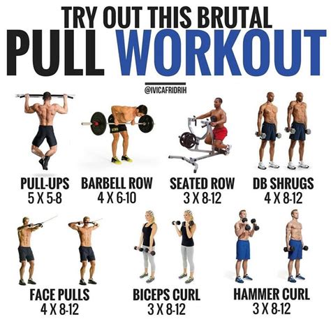 Push Workout Pull Day Workout Workout