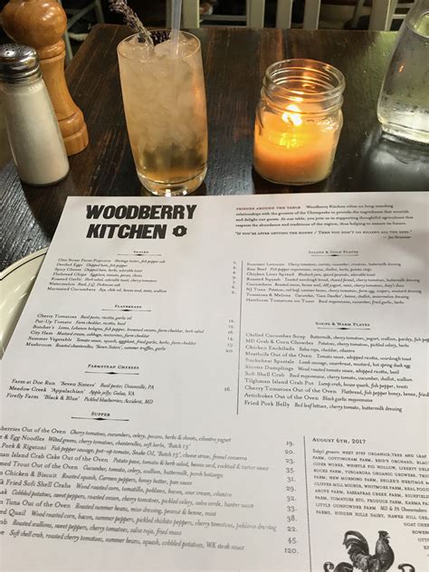 Woodberrykitchen2017 08 064623 Shivers Attacks Everything