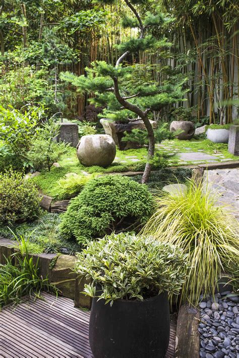 Conseils et astuces pour l'aménagement d'un jardin japonais | Jardin