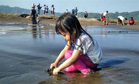 Uniknya istana pasir temiang ini ternyata berasal dari hasil para penambang pasir di cilegon yang meyisakan sedikit tanah sebagai replikasi istana. 10 Gambar Pantai Teluk Penyu Cilacap, Harga Tiket Masuk ...
