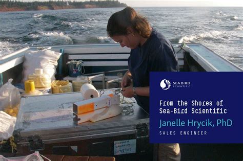 From The Shores Of Sea Bird Scientific Janelle Hrycik Phd Sea Bird