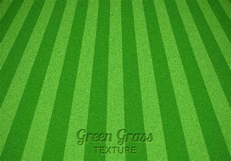 Mowed Green Grass Vector Texture 60348 Vector Art At Vecteezy