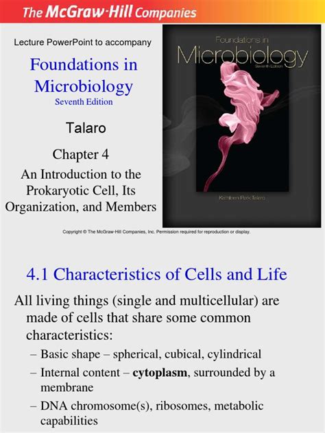 Foundations In Microbiology Talaro Pdf Bacteria Gram Positive Bacteria