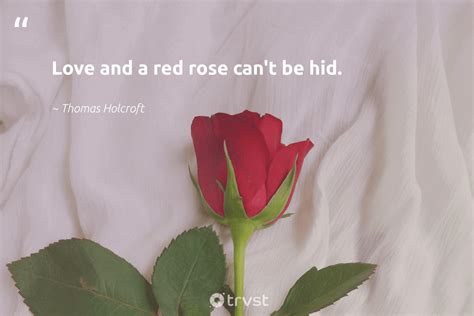 Quotes About Roses And Love Hester Alejandrina