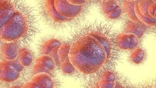 Gonorrhoea Could Become Untreatable Bbc News