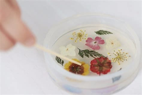 Owner katherine swift was already an experienced resin artist before taking over the business in 2011. DIY Pressed-Flower Coasters Perfect for Plant Lovers