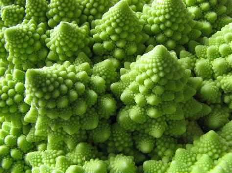 Typical popular pastimes in the uk include listening to pop music, going to pubs, playing and watching sport they grow beautiful flowers around their houses. Strange Vegetable | It looks like little Christmas trees ...