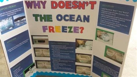2nd Grade Science Projects Science Projects Science Fair Projects