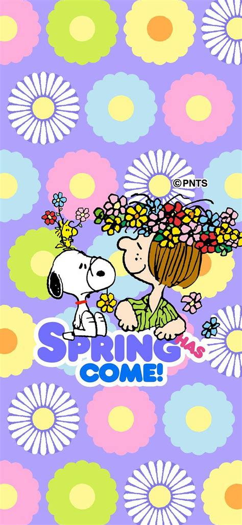 720p Free Download Spring Snoopy 60s Peanuts Peppermint Patty Hd