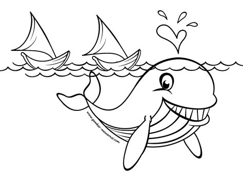 Gambar Mewarnai Ikan Paus - Contoh Gambar Mewarnai