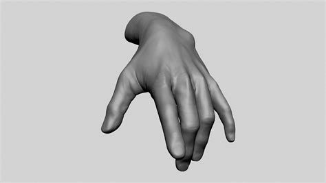 Hand 3d Model 9 Ztl Stl Obj Fbx Free3d