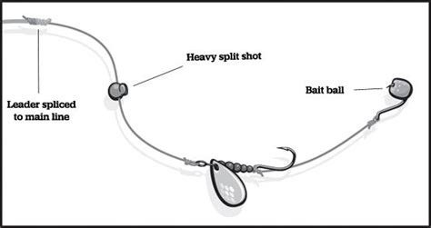 In general, when fishing for stocked trout with a spinning rod, fishing line of #2 to #4 is good, but you can use #6 as well but you sacrifice castability. How to Tie the Double-Trouble Trout Rig | Let's Go Fishin ...