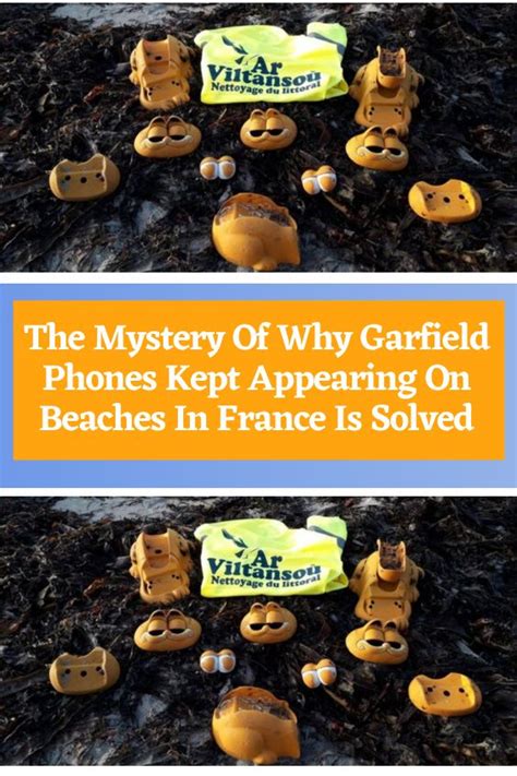 The Mystery Of Why Garfield Phones Kept Appearing On Beaches In France Is Solved In 2023
