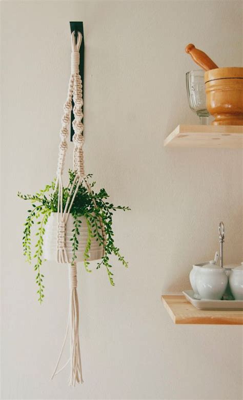 Les plantes d'intérieur retombantes sont parfaites. Une cuisine verdoyante | Cocon - déco & vie nomade