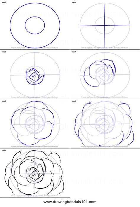 How To Draw A Camellia Flower Printable Step By Step Drawing Sheet