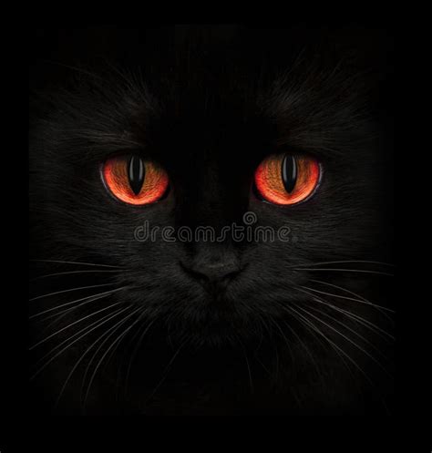 Terrible Muzzle Of A Black Cat With Red Eyes Stock Image Image Of