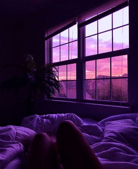 ︎ ︎ ︎ On Twitter Purple Sunset