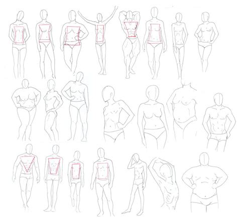 Body Types Drawing Reference