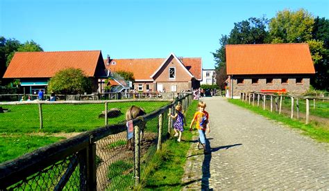 Kinderboerderij Kasteel Boterlaerhof Jeugdverblijf Openluchtklassen