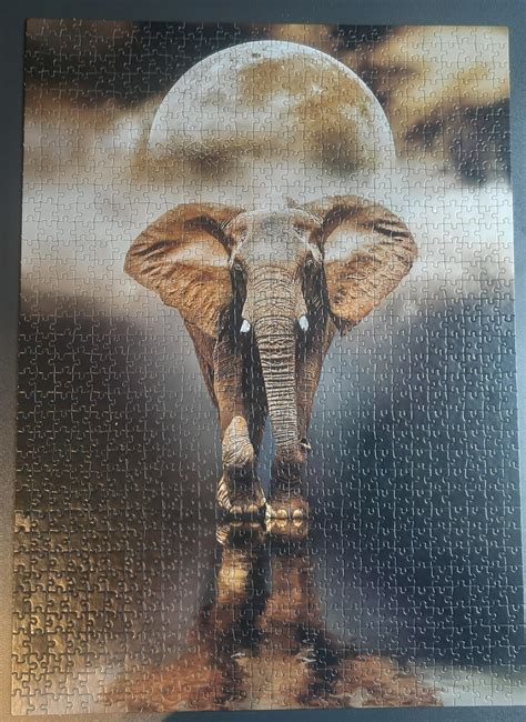 Finished My 1000 Pieces Elephant Puzzle Rjigsawpuzzles