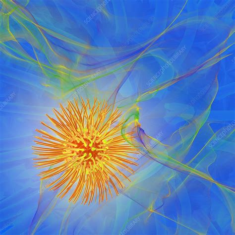 Virus, illustration - Stock Image - F022/4474 - Science Photo Library