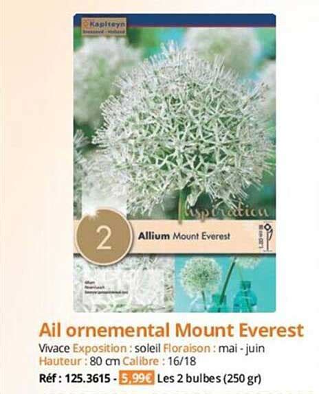 Promo Ail Ornemental Mount Everest Chez Magellan ICatalogue Fr
