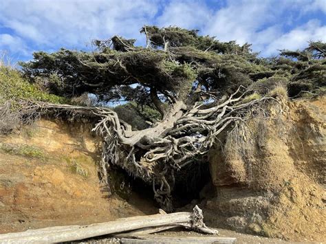 Olympic Peninsula Itinerary: The Ultimate 3 Day Weekend Guide