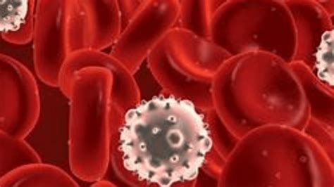 Blood Cancer Symptoms Types Cause Risk Factor Treatments
