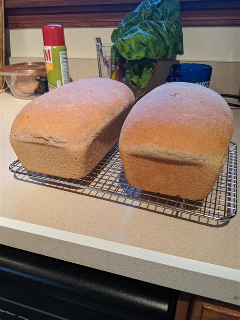 First Loaves With Fresh Milled Flour The Fresh Loaf