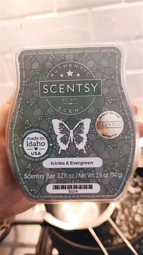 Icicles And Evergreen November 2021 Scent Of The Month In 2022 Scentsy