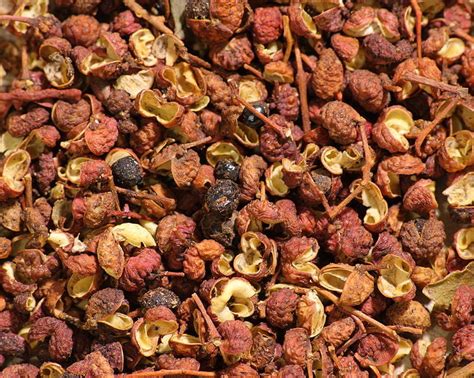 Sichuan Peppercorns Substitutes Ultimate Guide Cooked Best