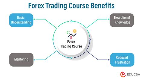 4 Reasons To Take A Trading In Forex Course Educba