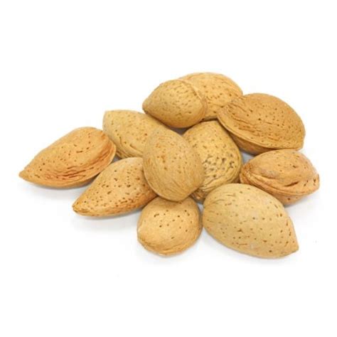 Almonds In Shell Nuts Wholesale Bulk Nutsite