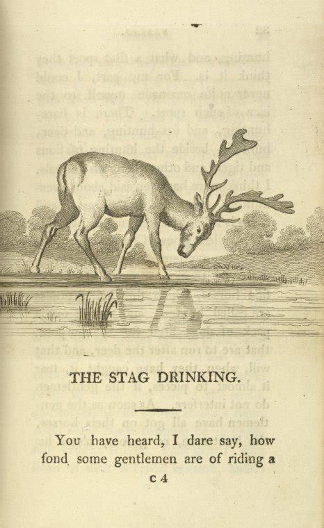 The Stag Drinking Nypl Digital Collections