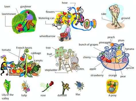 Garden Or Yard Vocabulary With Pictures Learning English