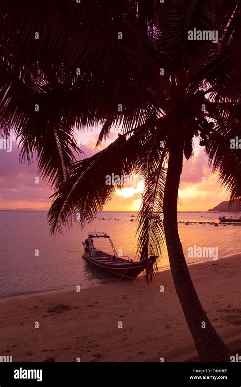 Small Boat Under The Palm Trees On Tropical Beach At Sunset Stock Photo