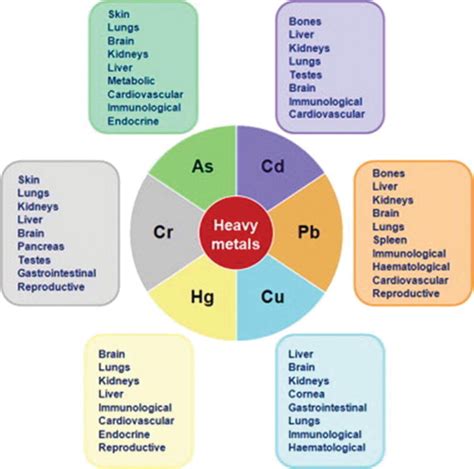 Health Effects Of Toxic Metals In Humans Detoxmetals