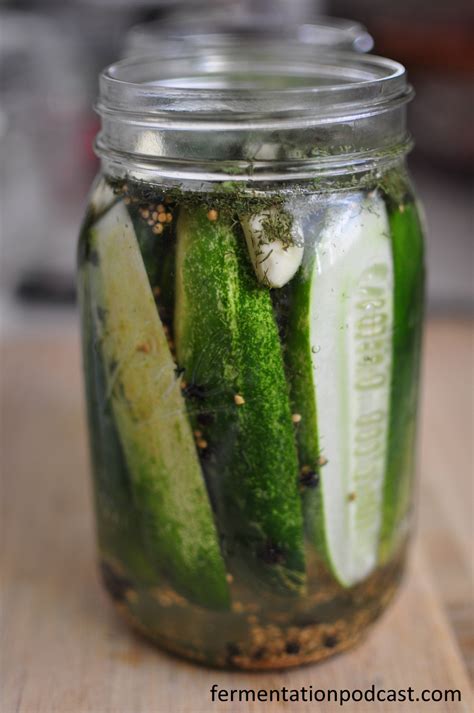Episode 2 Homemade Lacto Fermented Dill Pickles The Fermentation
