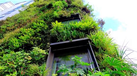 With margarita kosheleva, gennadi voropayev, aleksandr fadeyev, georgi kulbush. TANAMAN DINDING VERTICAL GARDEN JAKARTA-INDONESIA: APA ITU ...