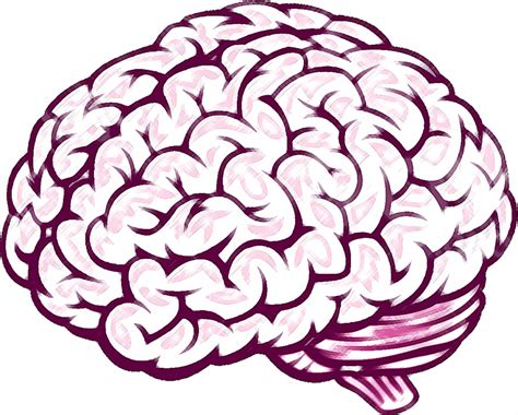 Simple Drawing Of A Brain Drawing Art Collection Clipart Best