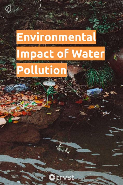 Environmental Impact Of Water Pollution Artofit