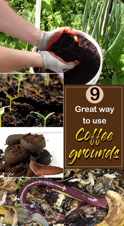 You can take a bag of coffee grounds and a bag of topsoil and mix them together in equal parts. 9 Great way to use Coffee grounds | How to use Coffee ...