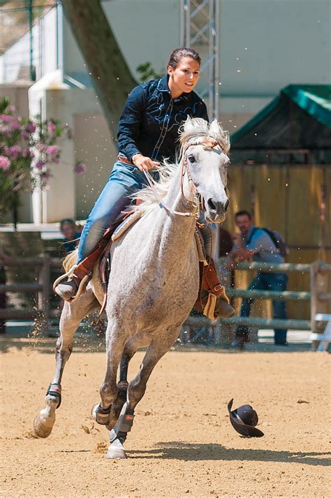 Free Images Stallion Jockey Contest Tradition Rodeo Western