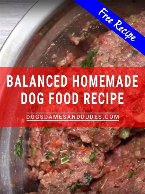 Balanced Homemade Dog Food Recipe Dogs Dames And Dudes Homemade