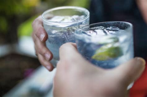 People Who Drink Gin Are Sexier According To Science Herie
