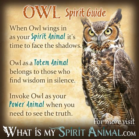Owl Symbolism And Meaning Spirit Totem And Power Animal